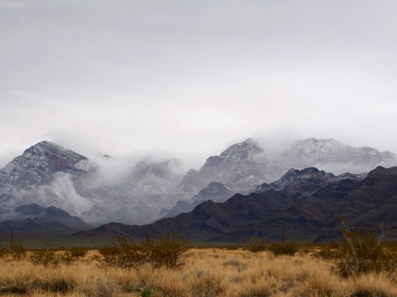 The Southwest is home to a variety of natural landscapes that are important to the region’s climate and that respond uniquely to climate change.