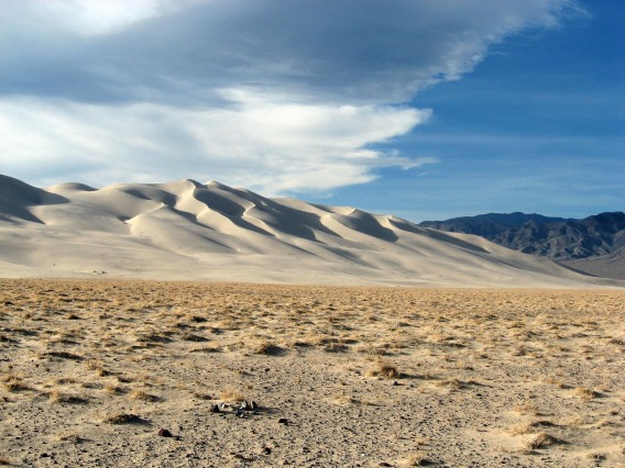 The low-elevation deserts of Southern California, Nevada, and Arizona are the hottest, driest regions of the contiguous United States.