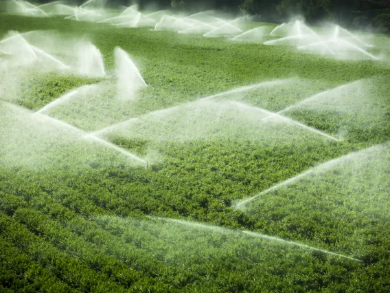 One way to adapt to climate change induced water shortages is to shift the mix of crops grown and to use more efficient irrigation technology.