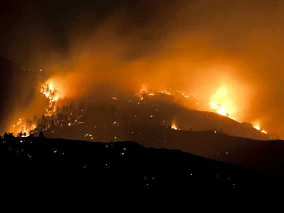 Some disturbance processes, such as wildfires and outbreaks of forest pests, are associated strongly with observed climate changes.