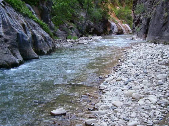 Stream temperatures are expected to increase as the climate warms, which could have direct and indirect effects on aquatic ecosystems.