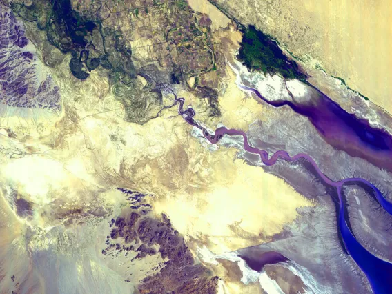 Wetland ecosystems, such as the Colorado River delta—a hotspot of biodiversity—are vulnerable to reduced precipitation and extended drought.