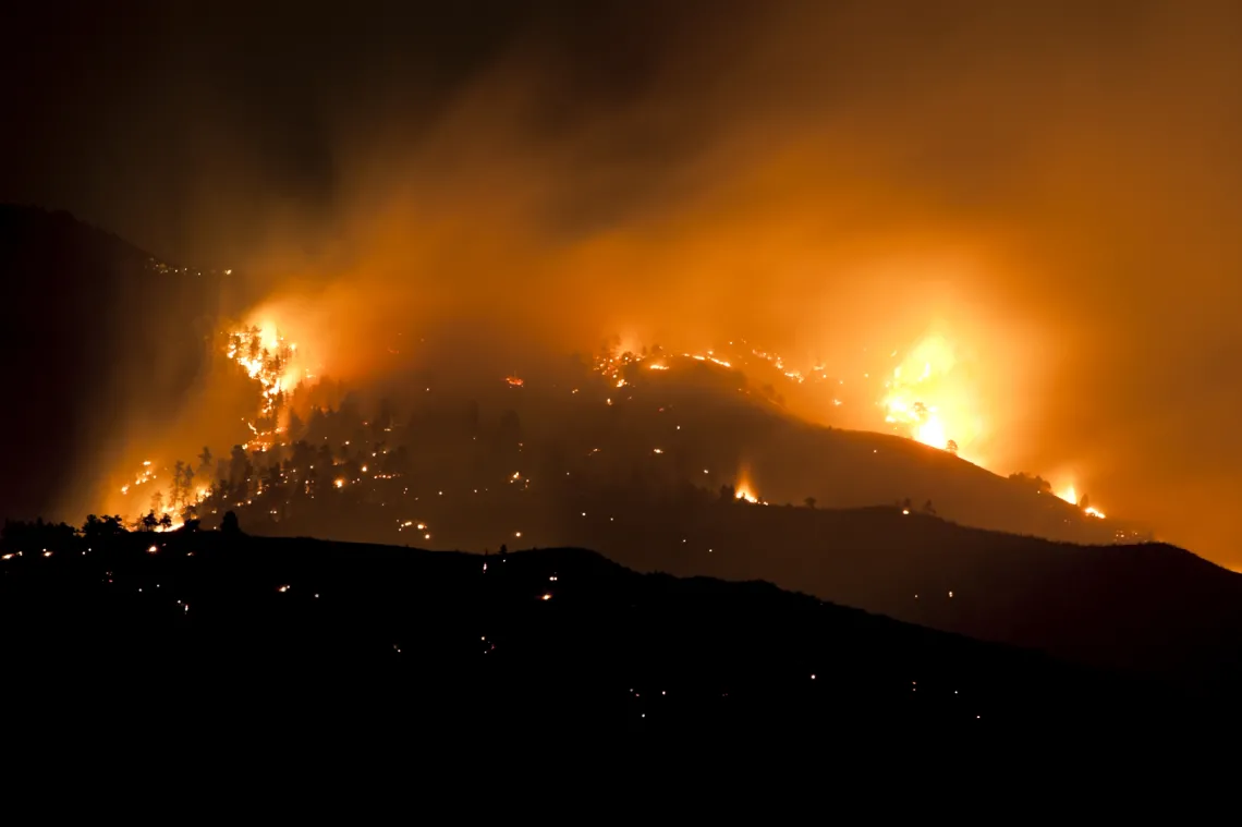 Some disturbance processes, such as wildfires and outbreaks of forest pests, are associated strongly with observed climate changes.