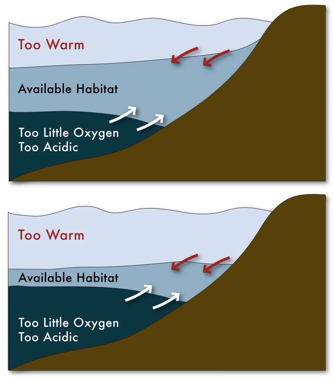 Climate-related changes to the ocean—warming waters and oxygen depletion—can reduce available habitat for economically important marine species.