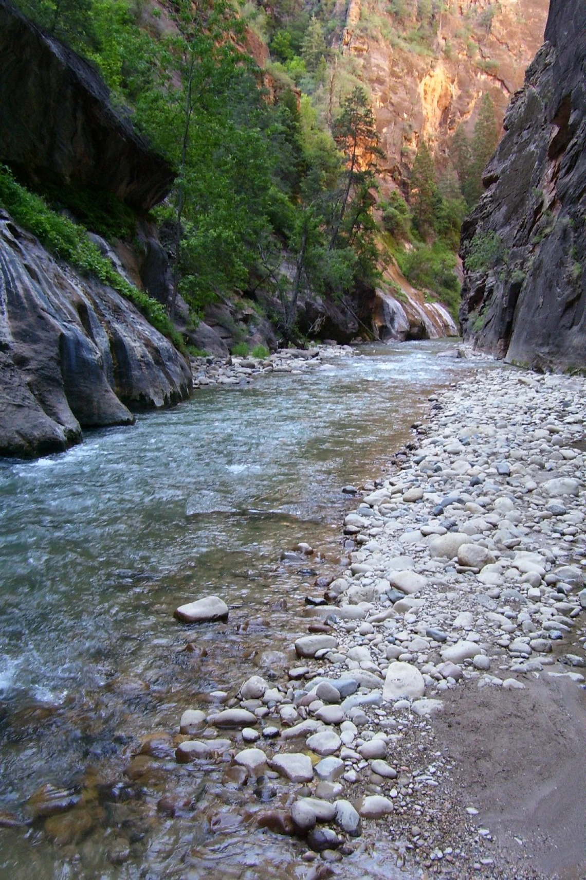 Stream temperatures are expected to increase as the climate warms, which could have direct and indirect effects on aquatic ecosystems.